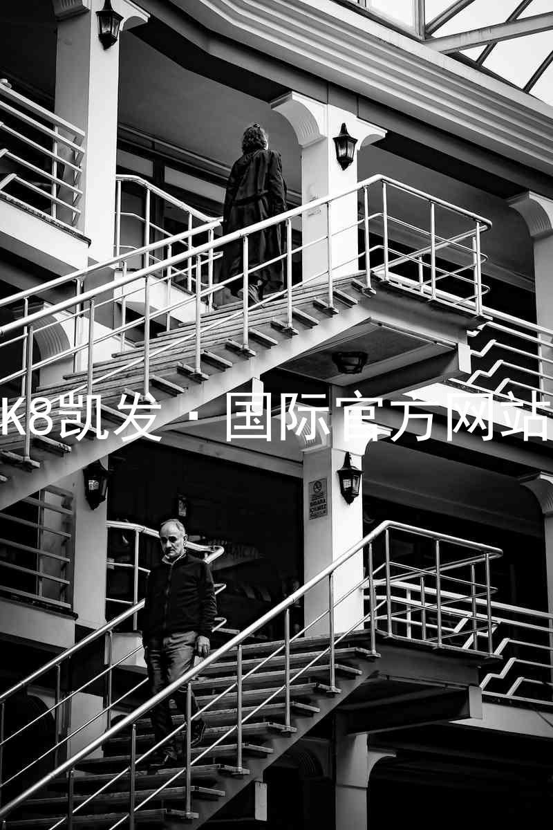 K8凯发·国际官方网站